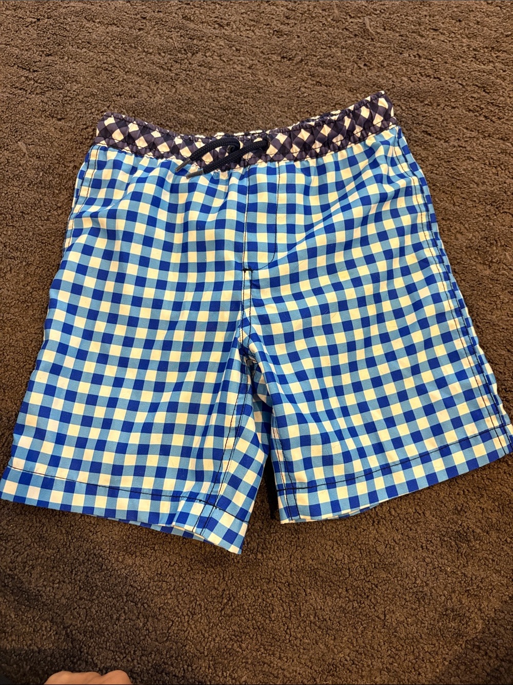 Like New Draper James by Lands End Blue & Cream Gingham Swim Trunks